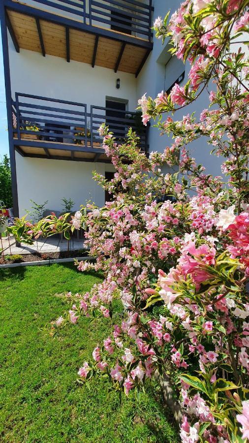 Luxor Apartmani 2 Vrnjačka Banja Exterior foto