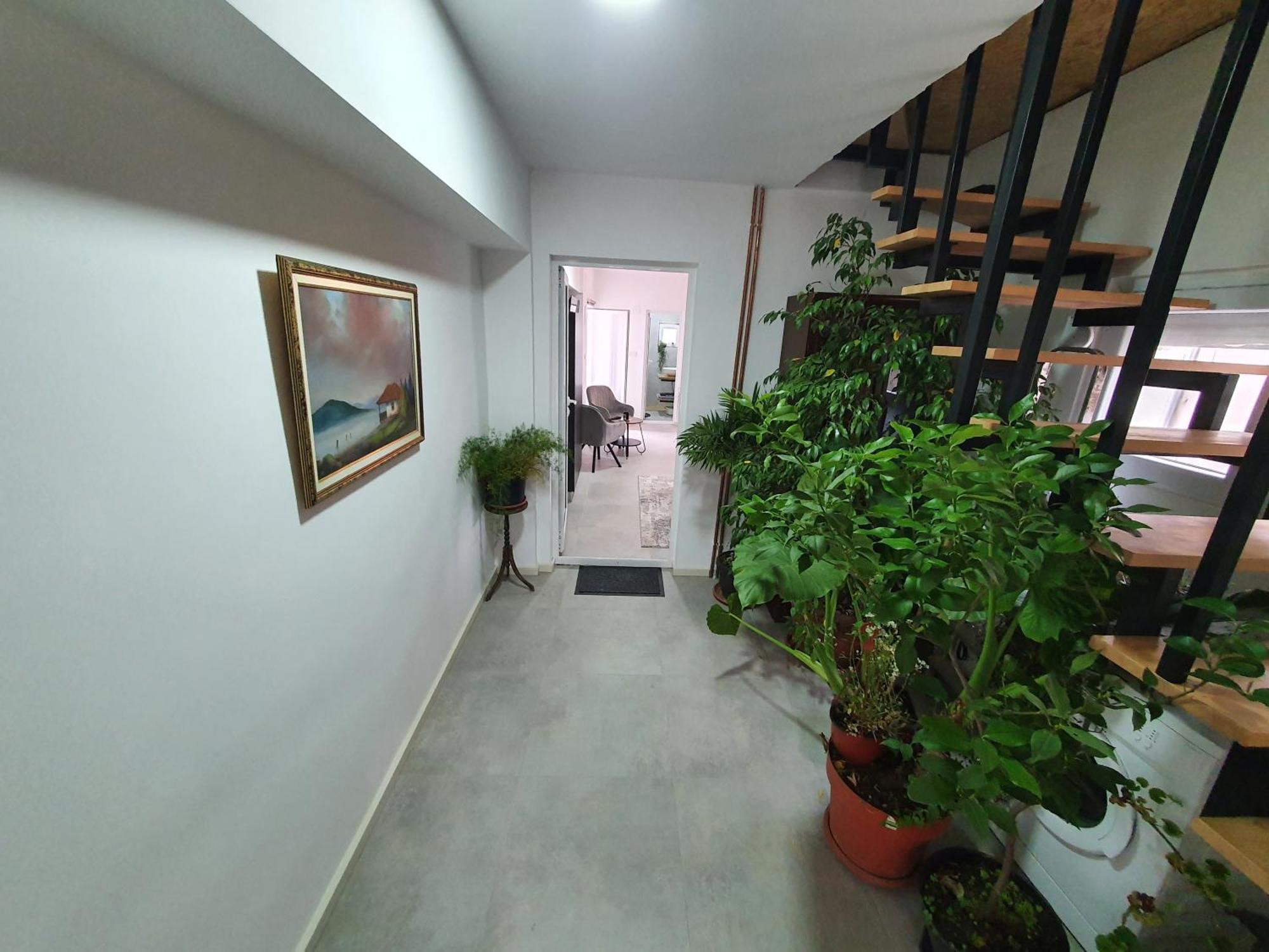 Luxor Apartmani 2 Vrnjačka Banja Habitación foto